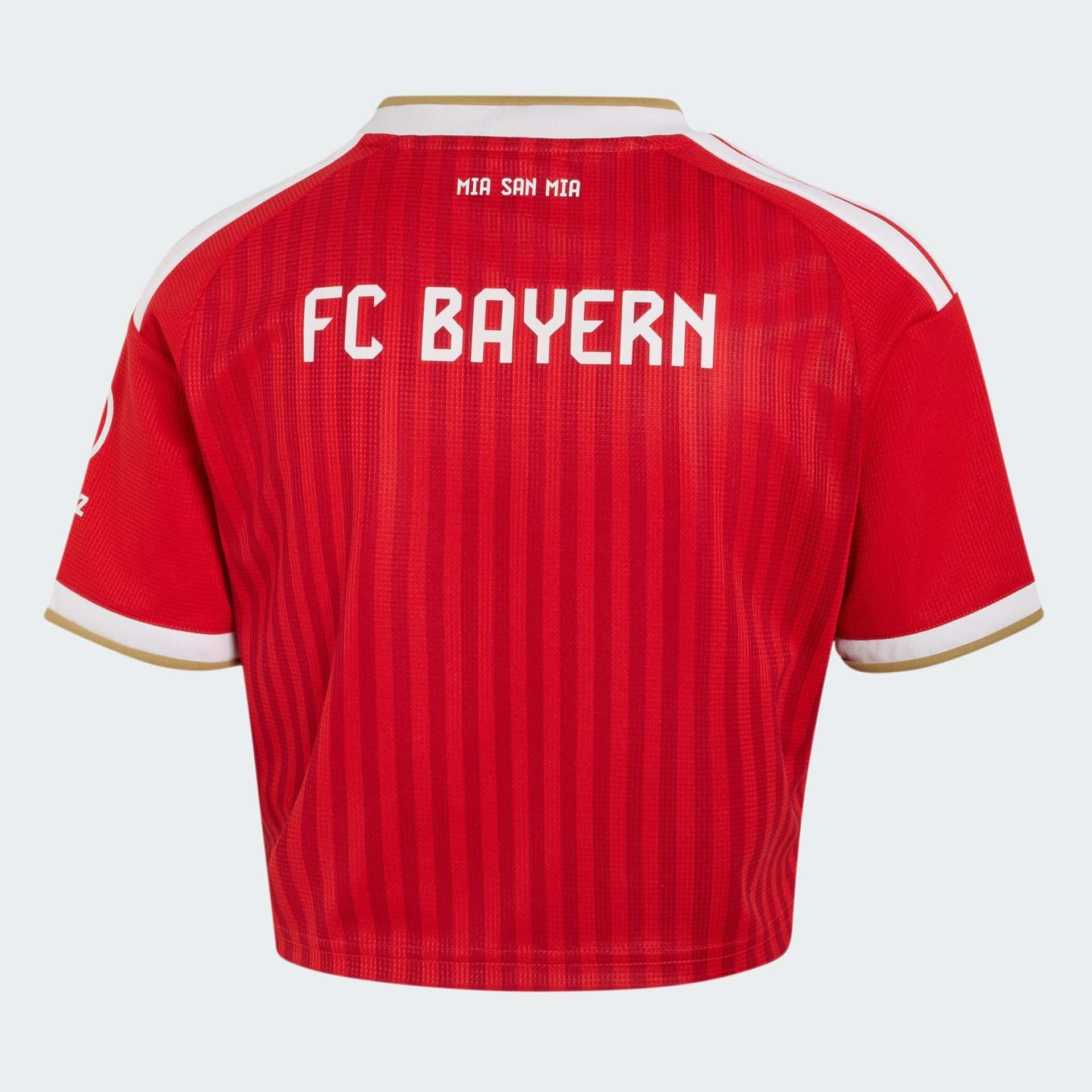 FC Bayern München 25/26 Training Training Jersey