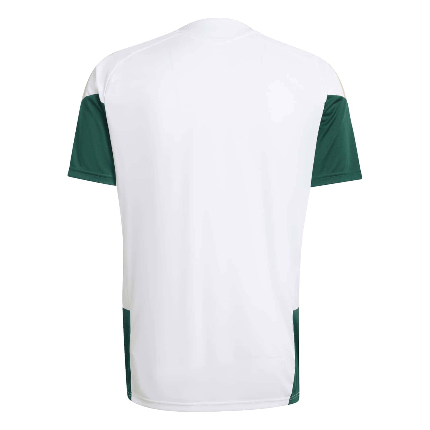 Italy World Cup 2026 Training Jersey